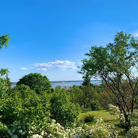 Villa Velencei Vadregenyes Vendeghaz Exterior foto